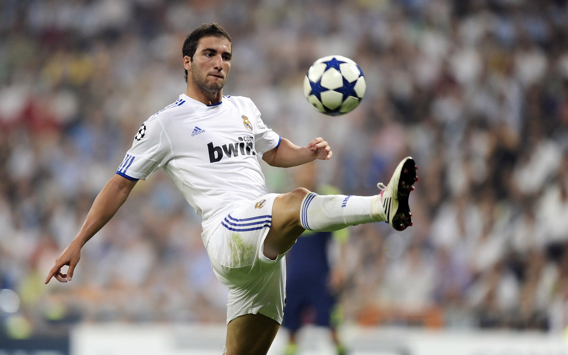 “智慧青训平台”引领行业数字化转型，行业迎来新变革，青职智慧校园